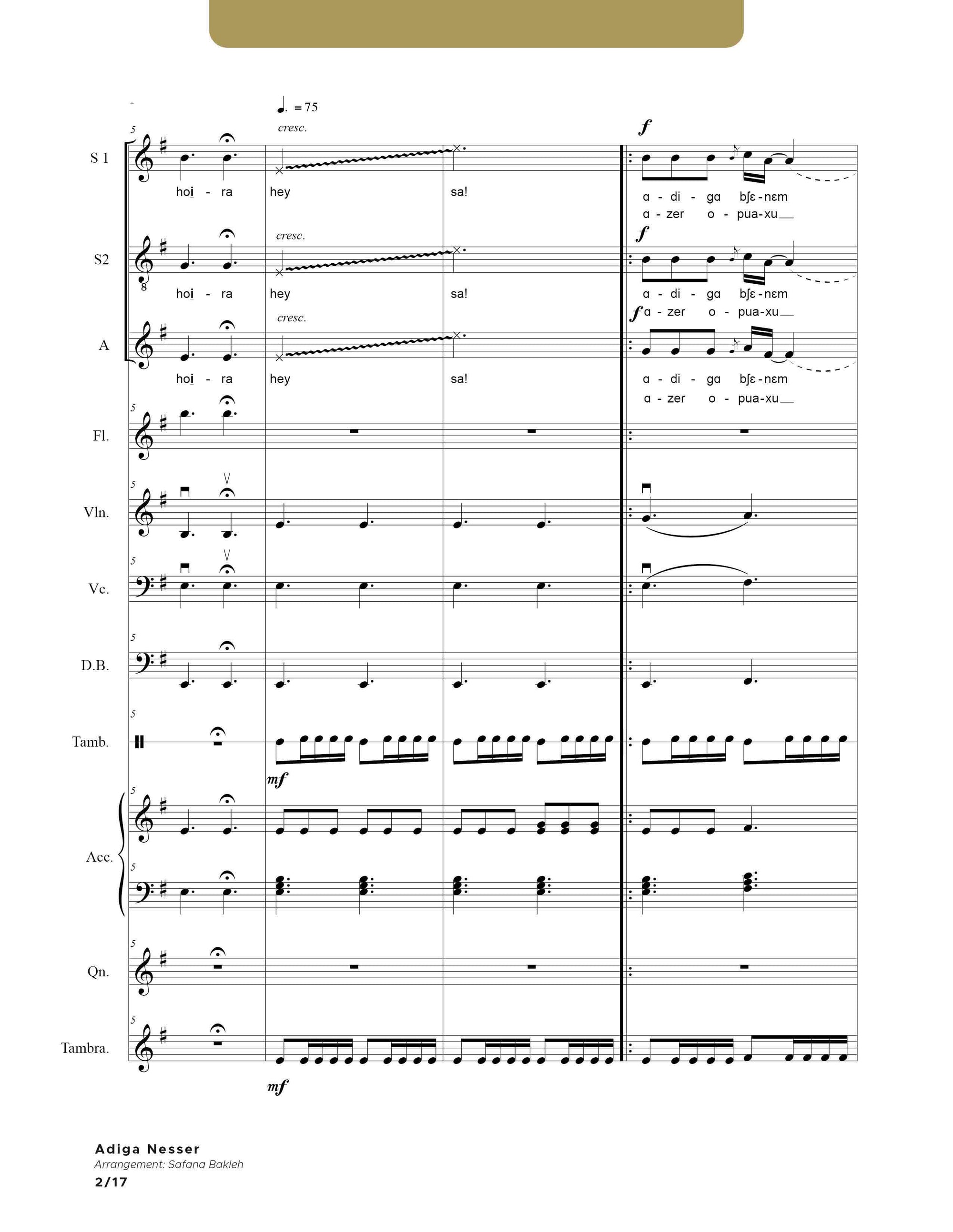 Adiga Nesser - SSA - with instruments