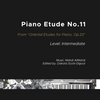 Etude pour piano n°11