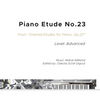 Etude pour piano n°23