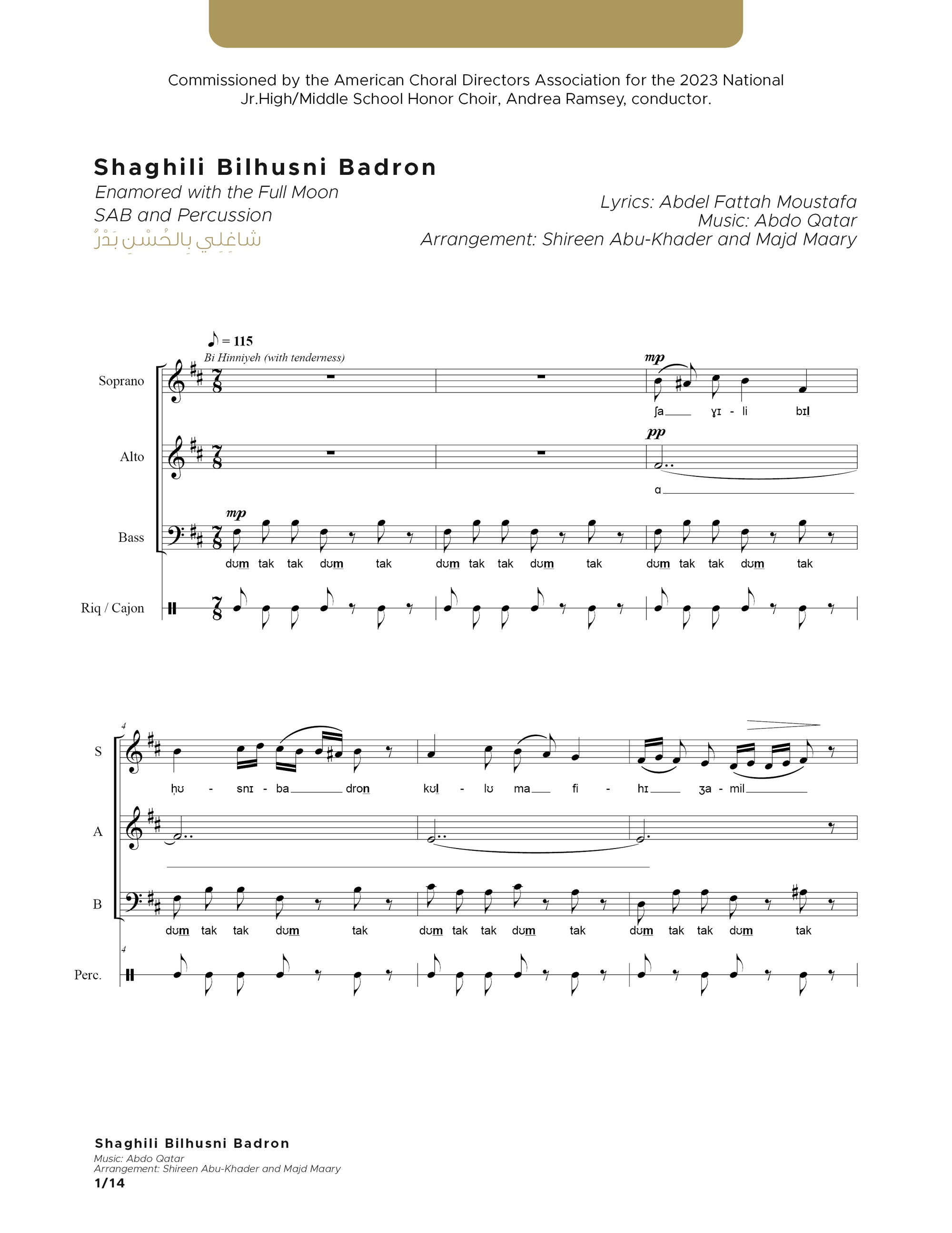 Shaghili Bilhusni Badron - SAB