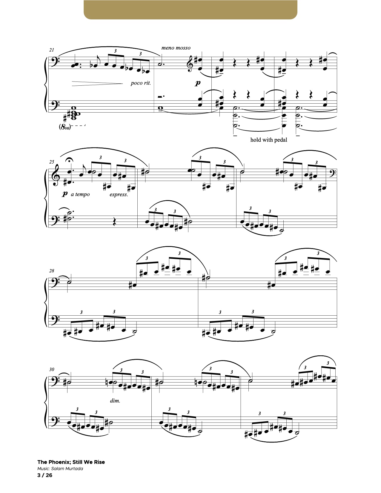 The Phoenix; Still We Rise